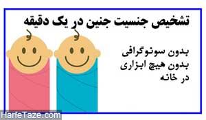 روش تعیین جنسیت جنین بدون نیاز به سونوگرافی و دکتر