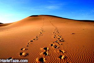 تعبیر دیدن صحرا (بیابان) در خواب