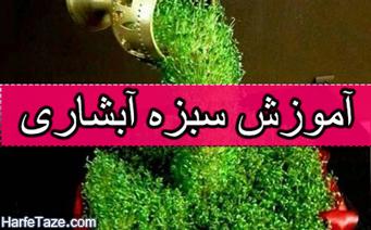 تصاویر / آموزش تصویری کاشت «سبزه آبشاری» و معلق با مدل های جدید سبزه فانتزی