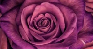 22 عکس زیبا و جدید بک گراند گل برای گوشی