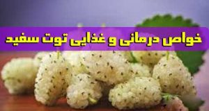 با خواص درمانی و فواید و مضرات توت سفید آشنا شوید