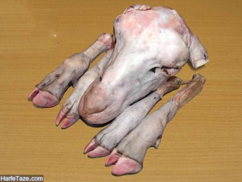 تعبیر خواب کله پاچه