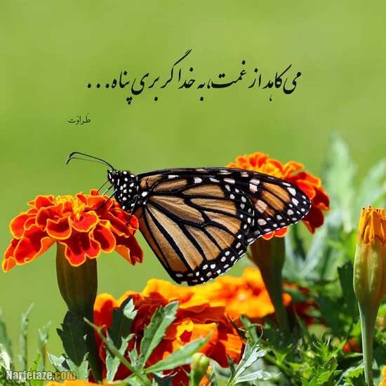 عکس نوشته خدا | عکس نوشته خدا با طرح های زیبا و دلنشین