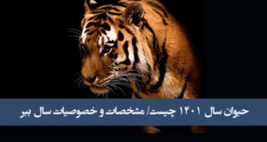 حیوان سال 1401 مشخص شد +عکس و طالع بینی سال ببر نماد سال ۱۴۰۱