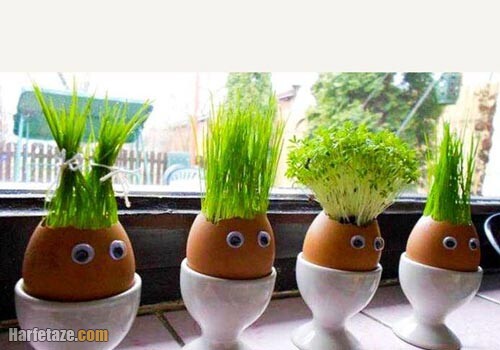 جدیدترین مدل های سبزه عید 1401 + عکس مدل جدید سبزه عید
