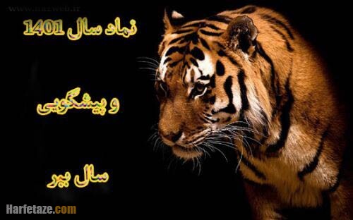 طالع بینی سال 1401 برای متولدین ماه ها