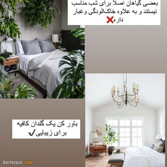 اینکارا رو با اتاق خوابت نکن! (نکات فنگ شویی اتاق خواب)
