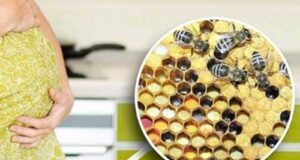 ژل رویال برای بارداری و 9 پرسش کلیدی در مورد آن