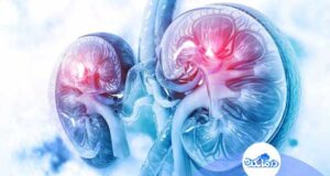 سرماخوردگی کلیه یعنی چه؟ علل و راه‌کارهای درمانی آن