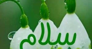 متن درباره سلام + عکس نوشته درباره سلام دوستانه