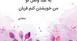 اشعار کوتاه احساسی + عکس نوشته زیبا اشعار عاشقانه