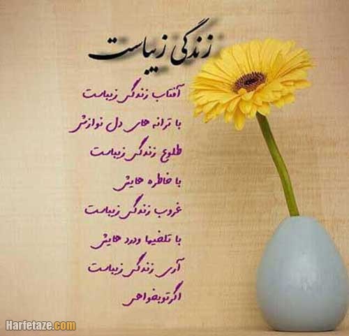 جملات دلنشین درباره زندگی