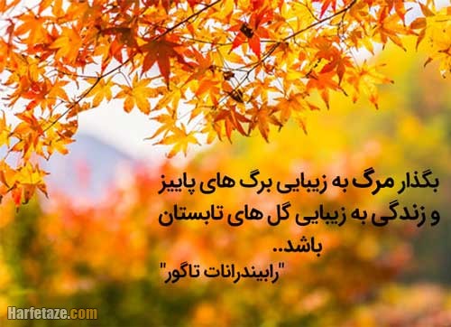 جملات فلسفی درباره مرگ + عکس نوشته درباره مرگ عزیزان 3 جملات فلسفی درباره مرگ