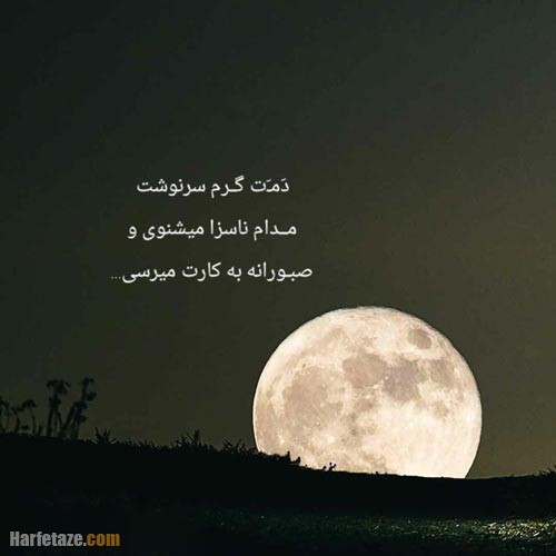 پروفایل سرنوشت