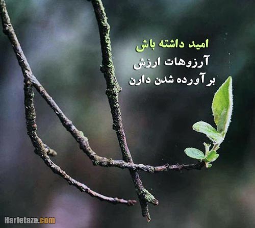 متن درباره امید به زندگی