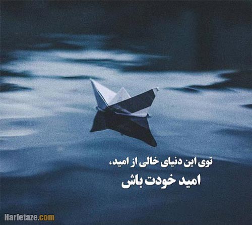 پروفایل درباره امید
