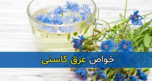 خواص عرق کاسنی برای رحم و قاعدگی زنان که نمی دانستید