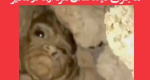 معدضما یا مردآزما کیست و چیست؟ ماجرای جن مردآزما در ملایر +‌فیلم