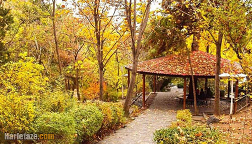 جنگل شیان کجاست ماجرای جنگل شیان در سریال اجل معلق چیست