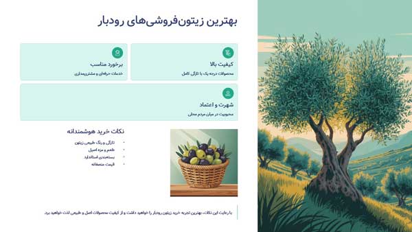 زیتون فروشی رودبار