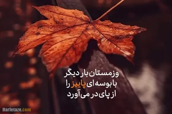 متن و جملات آخرین روزهای پاییز ۱۴۰۴ و خداحافظی با پاییز 1404
