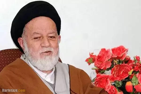 بیوگرافی آیت الله سید محمد شاهچراغی نماینده 