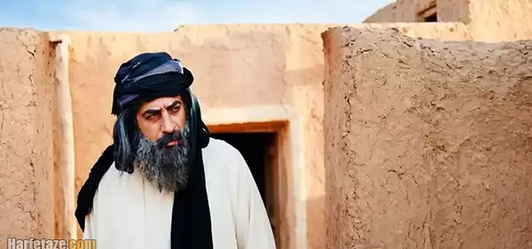 بیوگرافی بازیگران سریال عاقل ترین دیوانه 