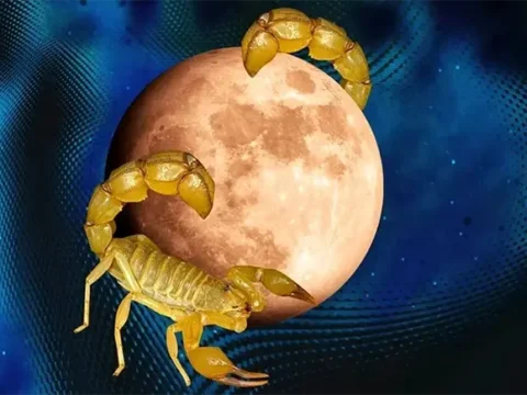 جدول قمر در عقرب شهریور 1405 + تاریخ دقیق روزهای قمر در عقرب شهریور ۱۴۰۵ 3 جدول قمر در عقرب شهریور 1405 + تاریخ دقیق روزهای قمر در عقرب شهریور ۱۴۰۵