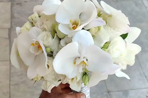 معرفی گلهای پرطرفدار برای دسته گل عروس 8 ارکیده برای دسته گل عروس