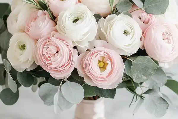 معرفی گلهای پرطرفدار برای دسته گل عروس 5 رانانکولوس برای دسته گل عروس