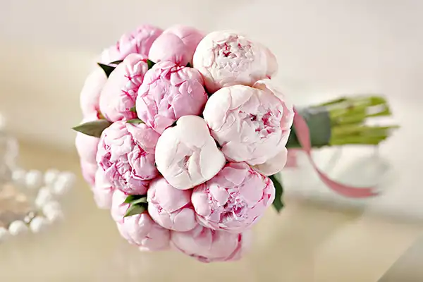 معرفی گلهای پرطرفدار برای دسته گل عروس 3 پیونی برای دسته گل عروس