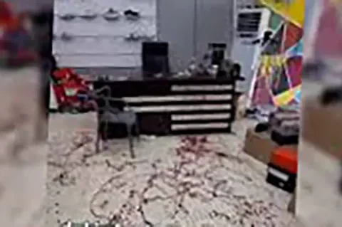 ماجرای حمله به مغازه نوید پارسایی کشتی‌گیر ملی‌پوش و قطع مچ دستش