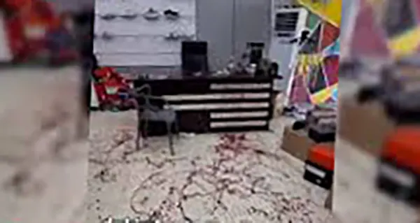 ماجرای حمله به مغازه نوید پارسایی کشتیگیر ملیپوش و قطع مچ دستش 1 ماجرای حمله به مغازه نوید پارسایی کشتیگیر ملیپوش و قطع مچ دستش