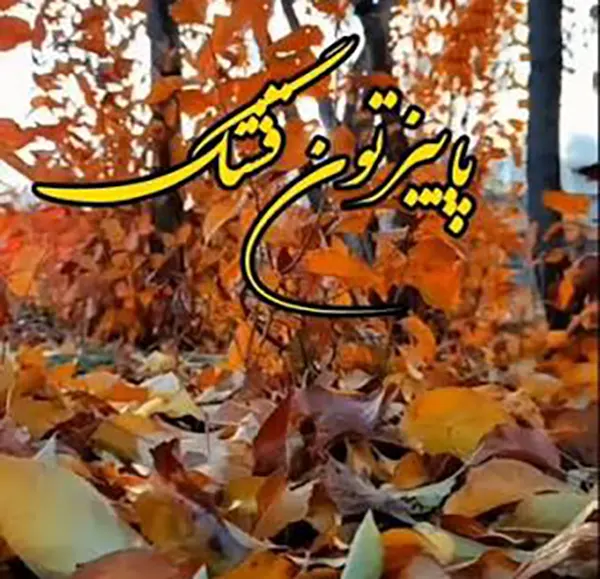 متن و پیام تبریک پاییز 1405 عاشقانه و غمگین +استوری فصل پاییز 1405 مبارک 7 متن تبریک پاییز 1405 برای استوری واتساپ و اینستاگرام