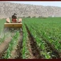 شرایط دریافت سند تک برگ زمین کشاورزی اعلام شد + جزئیات