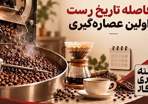 فاصله میان تاریخ رست و اولین عصاره‌گیری چرا مهم است؟